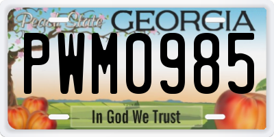 GA license plate PWM0985