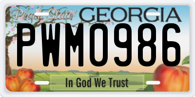 GA license plate PWM0986