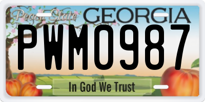 GA license plate PWM0987