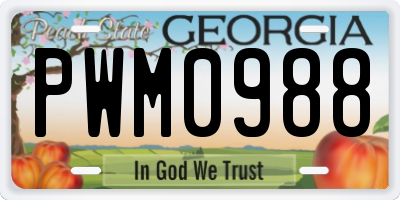 GA license plate PWM0988
