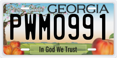 GA license plate PWM0991
