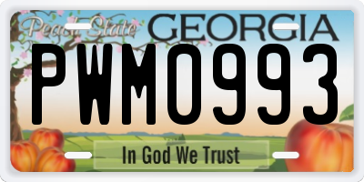 GA license plate PWM0993