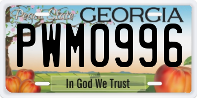 GA license plate PWM0996