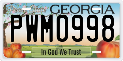 GA license plate PWM0998