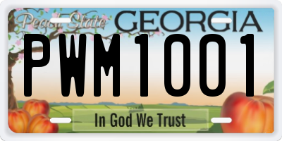 GA license plate PWM1001