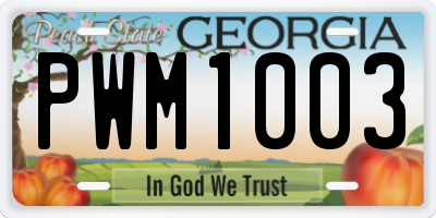 GA license plate PWM1003