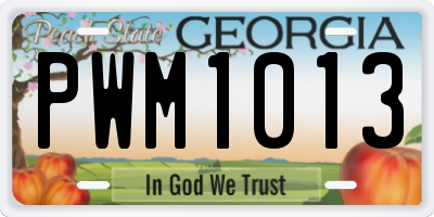 GA license plate PWM1013