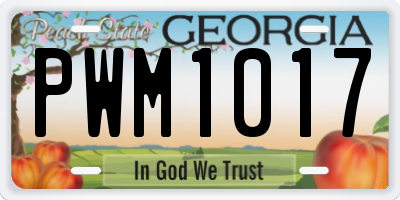 GA license plate PWM1017