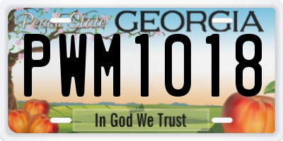 GA license plate PWM1018