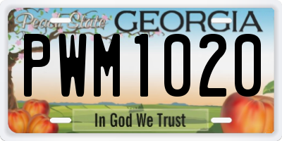 GA license plate PWM1020