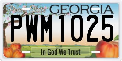 GA license plate PWM1025