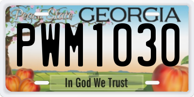 GA license plate PWM1030
