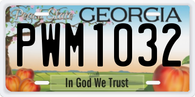 GA license plate PWM1032