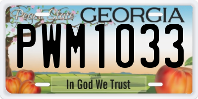 GA license plate PWM1033