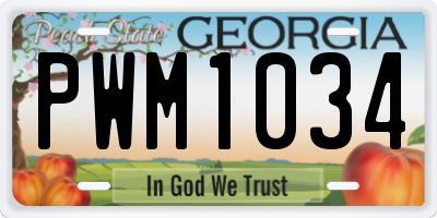 GA license plate PWM1034