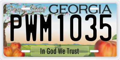 GA license plate PWM1035