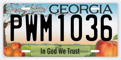GA license plate PWM1036