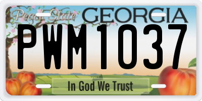 GA license plate PWM1037