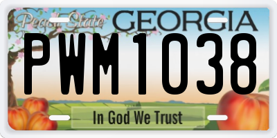 GA license plate PWM1038
