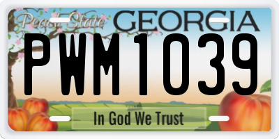 GA license plate PWM1039