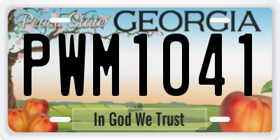 GA license plate PWM1041