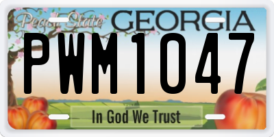 GA license plate PWM1047