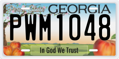 GA license plate PWM1048