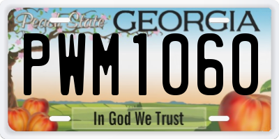 GA license plate PWM1060