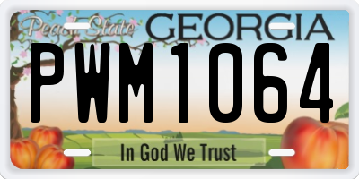 GA license plate PWM1064