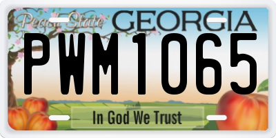 GA license plate PWM1065