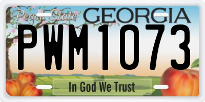 GA license plate PWM1073