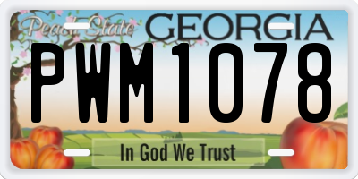 GA license plate PWM1078