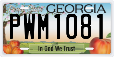 GA license plate PWM1081