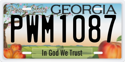 GA license plate PWM1087