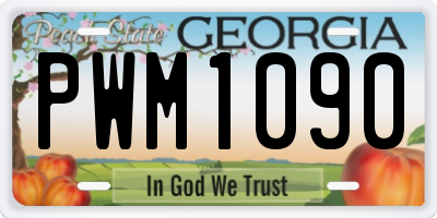 GA license plate PWM1090