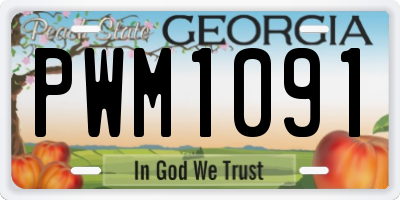 GA license plate PWM1091