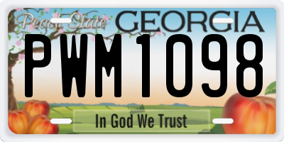 GA license plate PWM1098