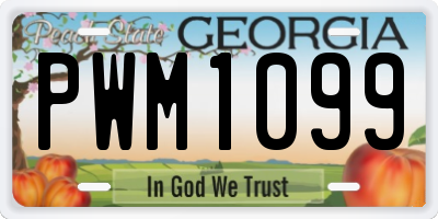 GA license plate PWM1099