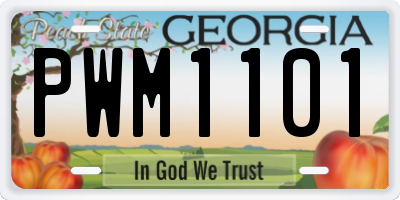 GA license plate PWM1101
