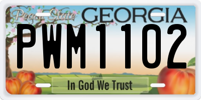 GA license plate PWM1102