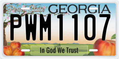GA license plate PWM1107