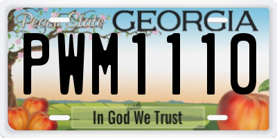 GA license plate PWM1110