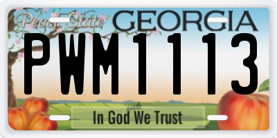 GA license plate PWM1113