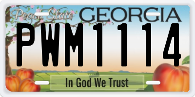 GA license plate PWM1114