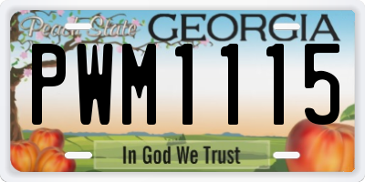 GA license plate PWM1115