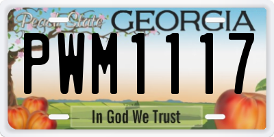GA license plate PWM1117