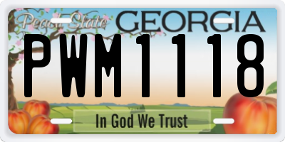GA license plate PWM1118