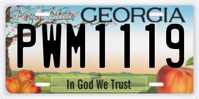 GA license plate PWM1119