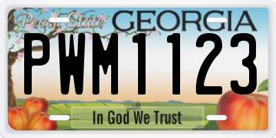 GA license plate PWM1123