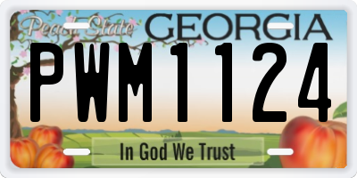 GA license plate PWM1124